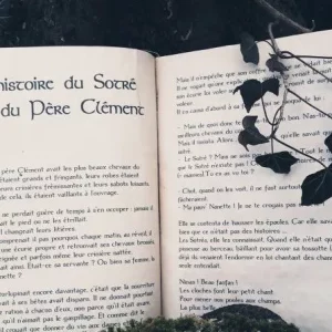 Livre Redimensionné